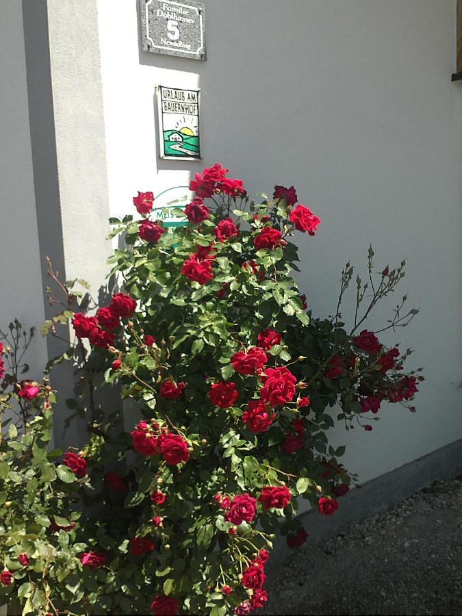 Schnatterhof Villa Lambrechten Luaran gambar